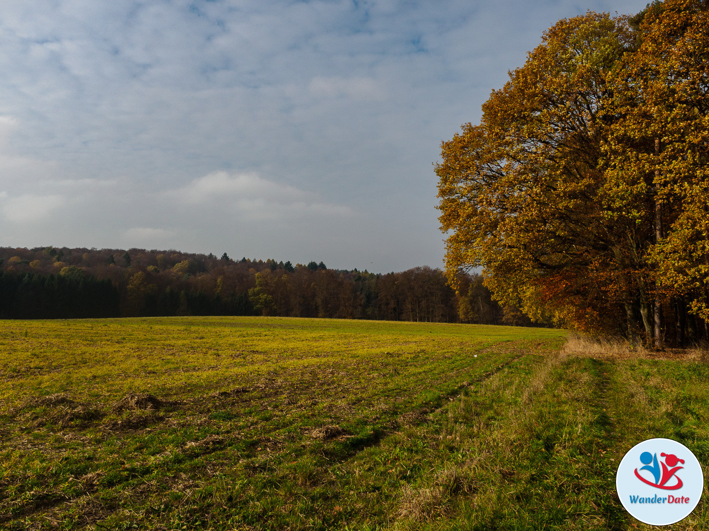 20161113 WD Höchst Märchenwald