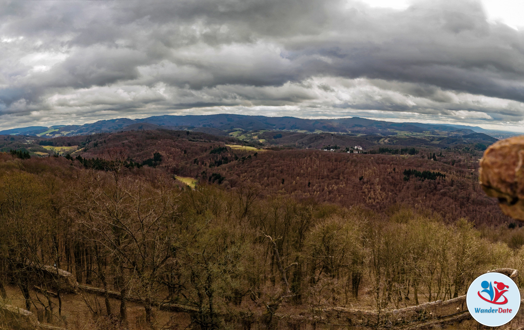 20170305 WD Odenwald