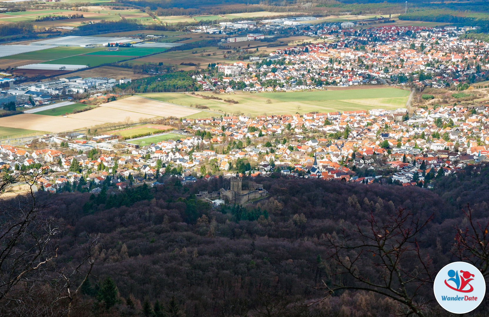 20170305 WD Odenwald