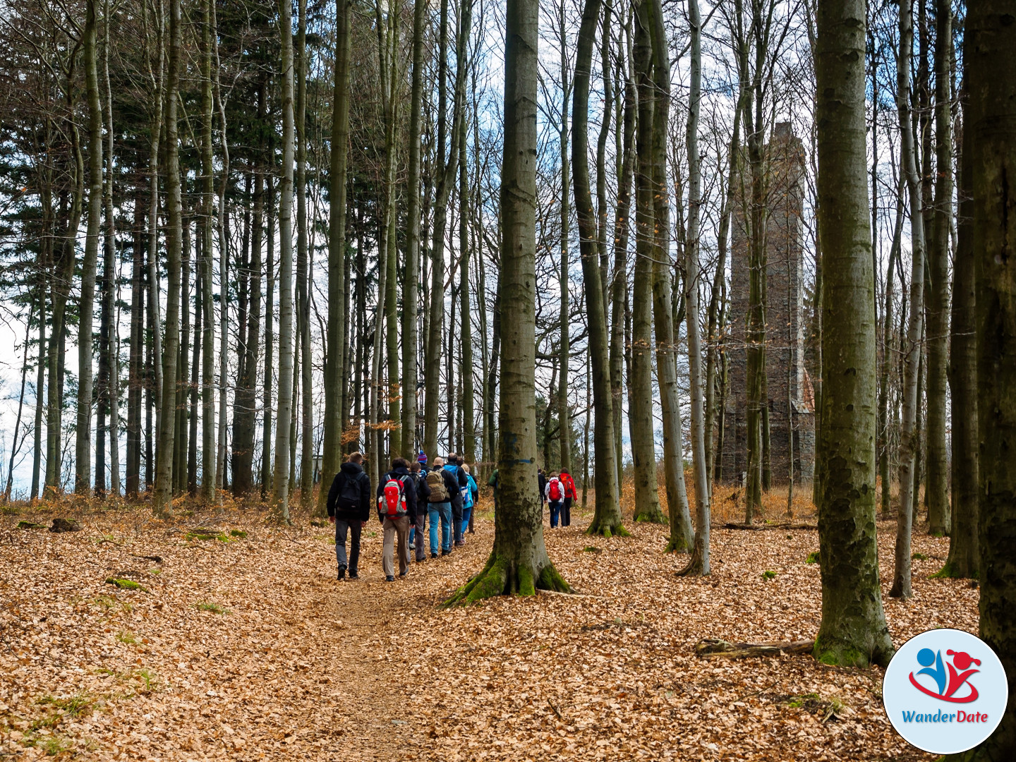 20170305 WD Odenwald