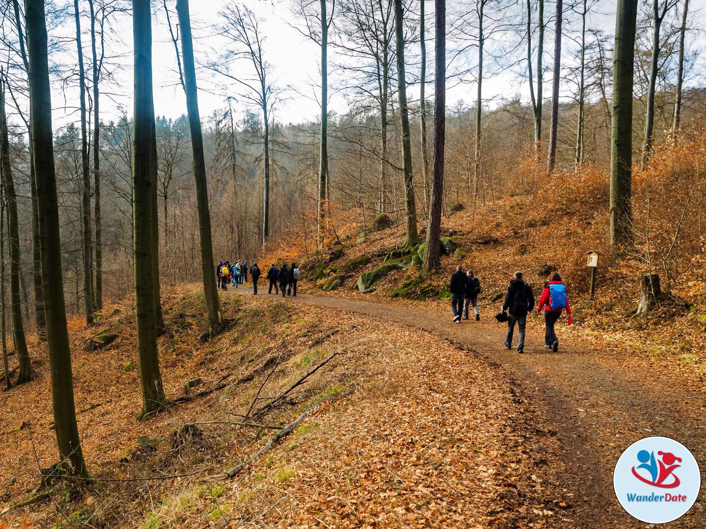 20170305 WD Odenwald