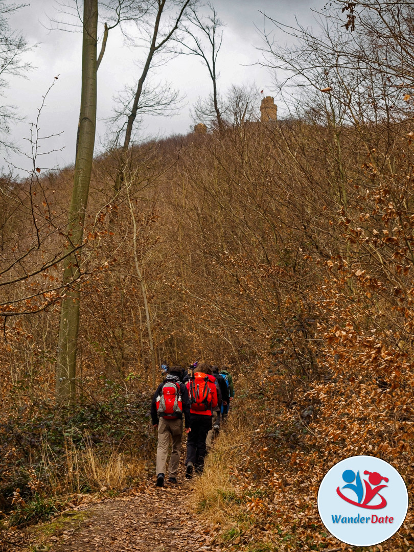 20170305 WD Odenwald