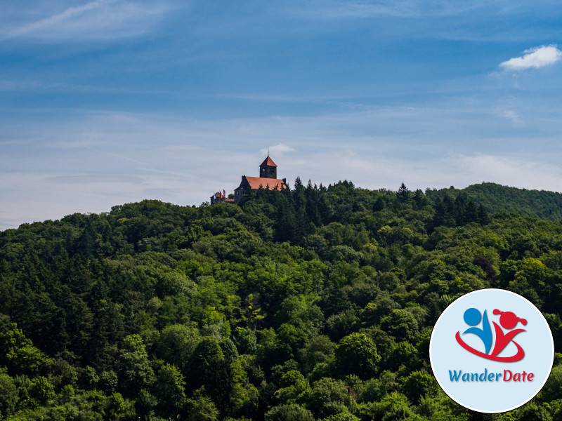 2015-06-15 Wanderdate Weinheim (3 von 26)