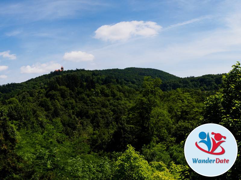 2015-06-15 Wanderdate Weinheim (10 von 26)