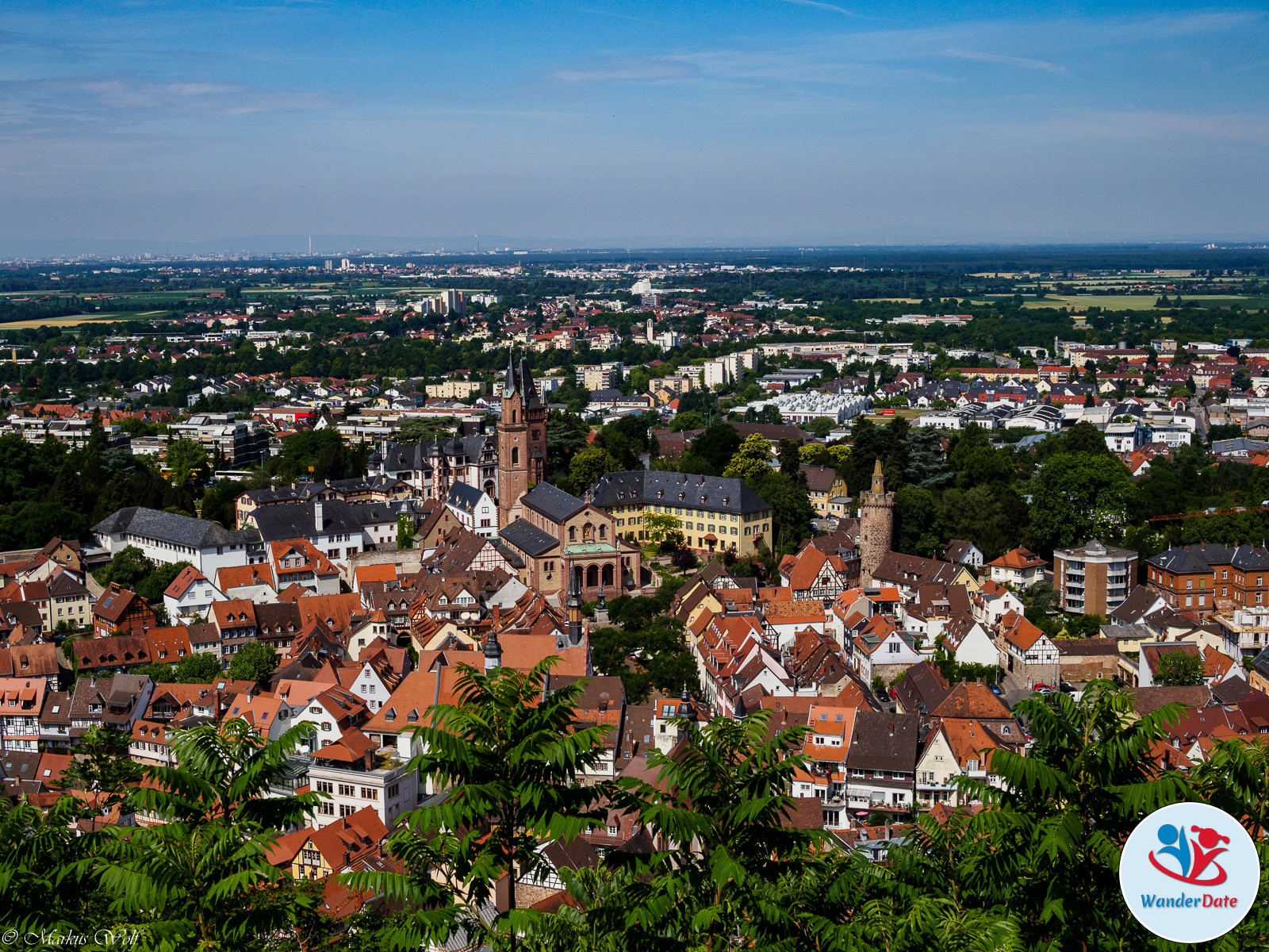 2015-06-15 Wanderdate Weinheim (2 von 26)