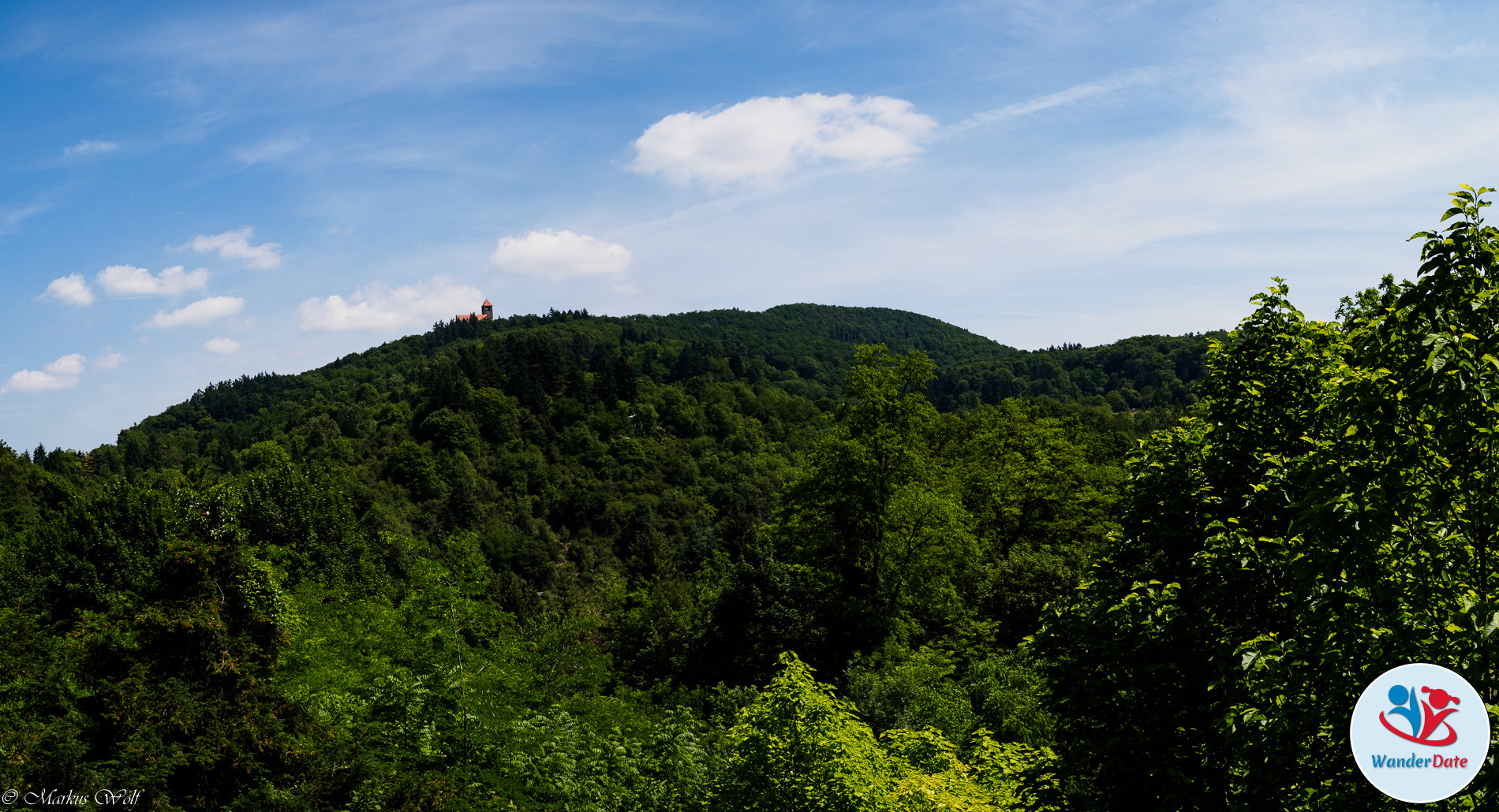 2015-06-15 Wanderdate Weinheim (10 von 26)