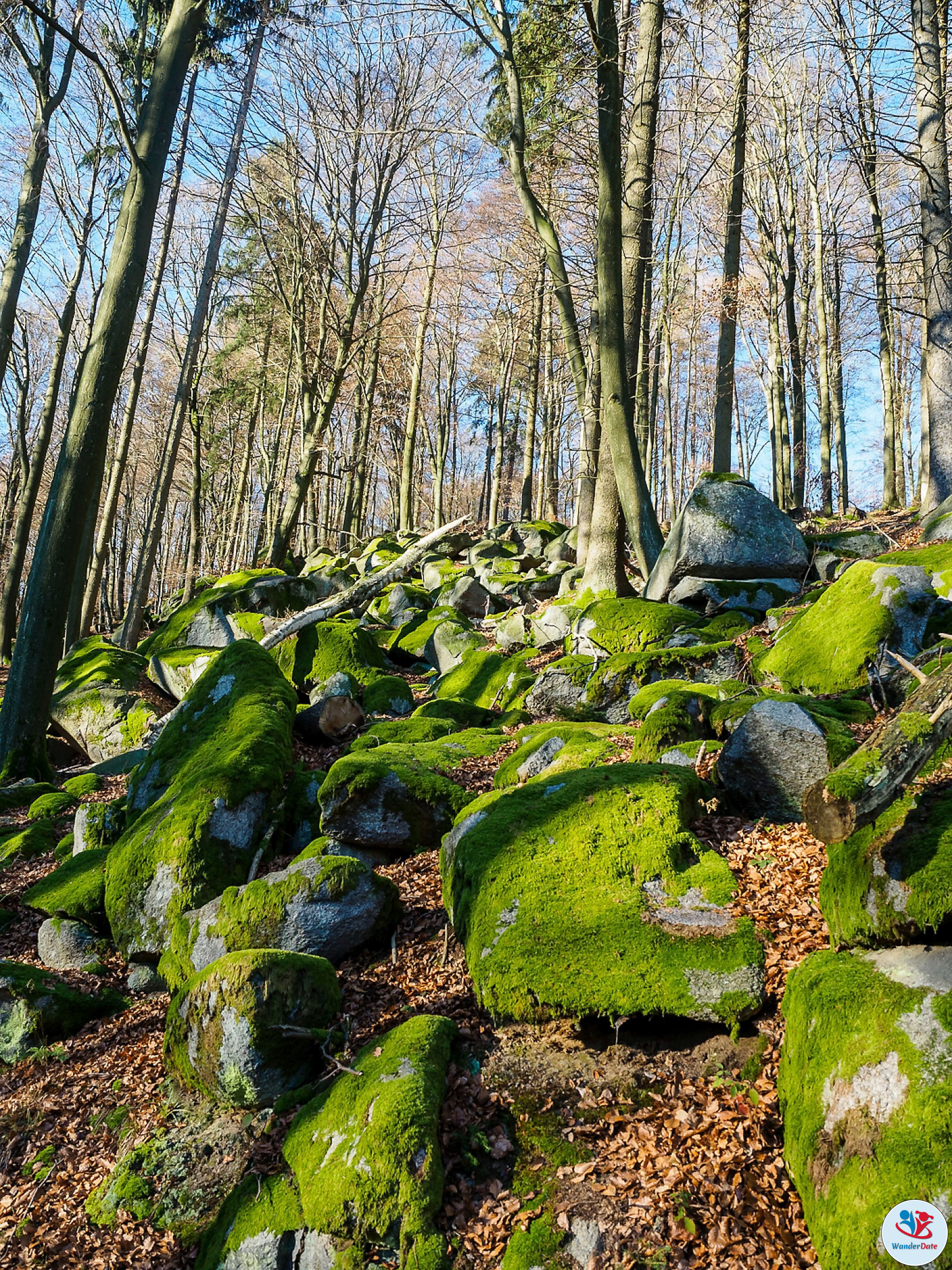 20161204 49onTop Felsenmeer