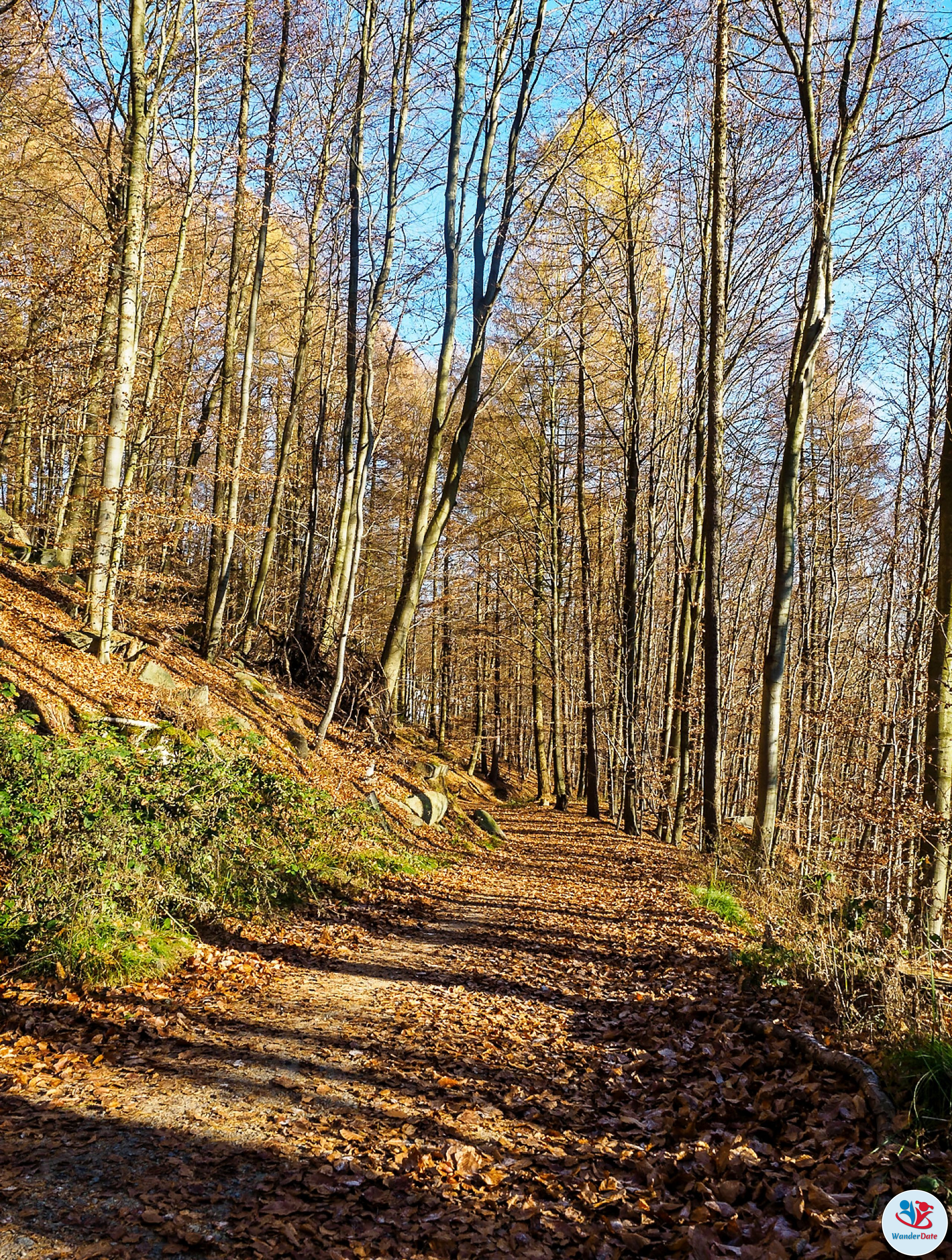 20161204 49onTop Felsenmeer