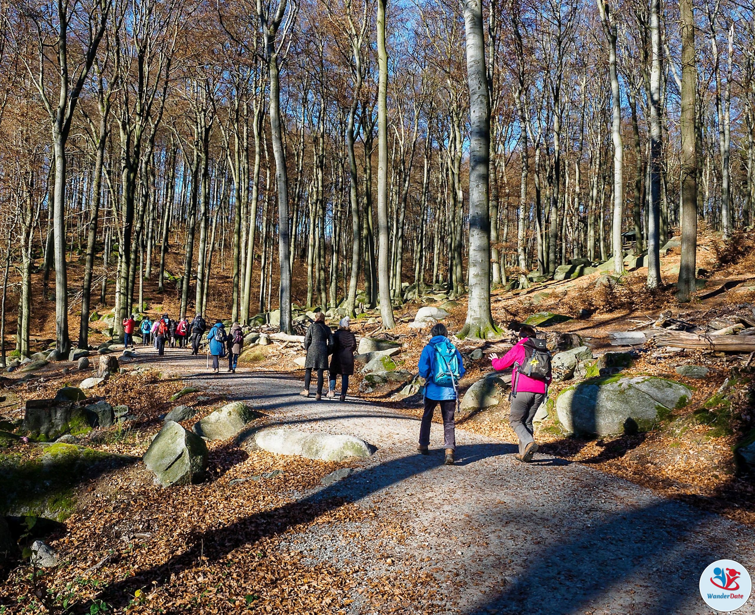 20161204 49onTop Felsenmeer