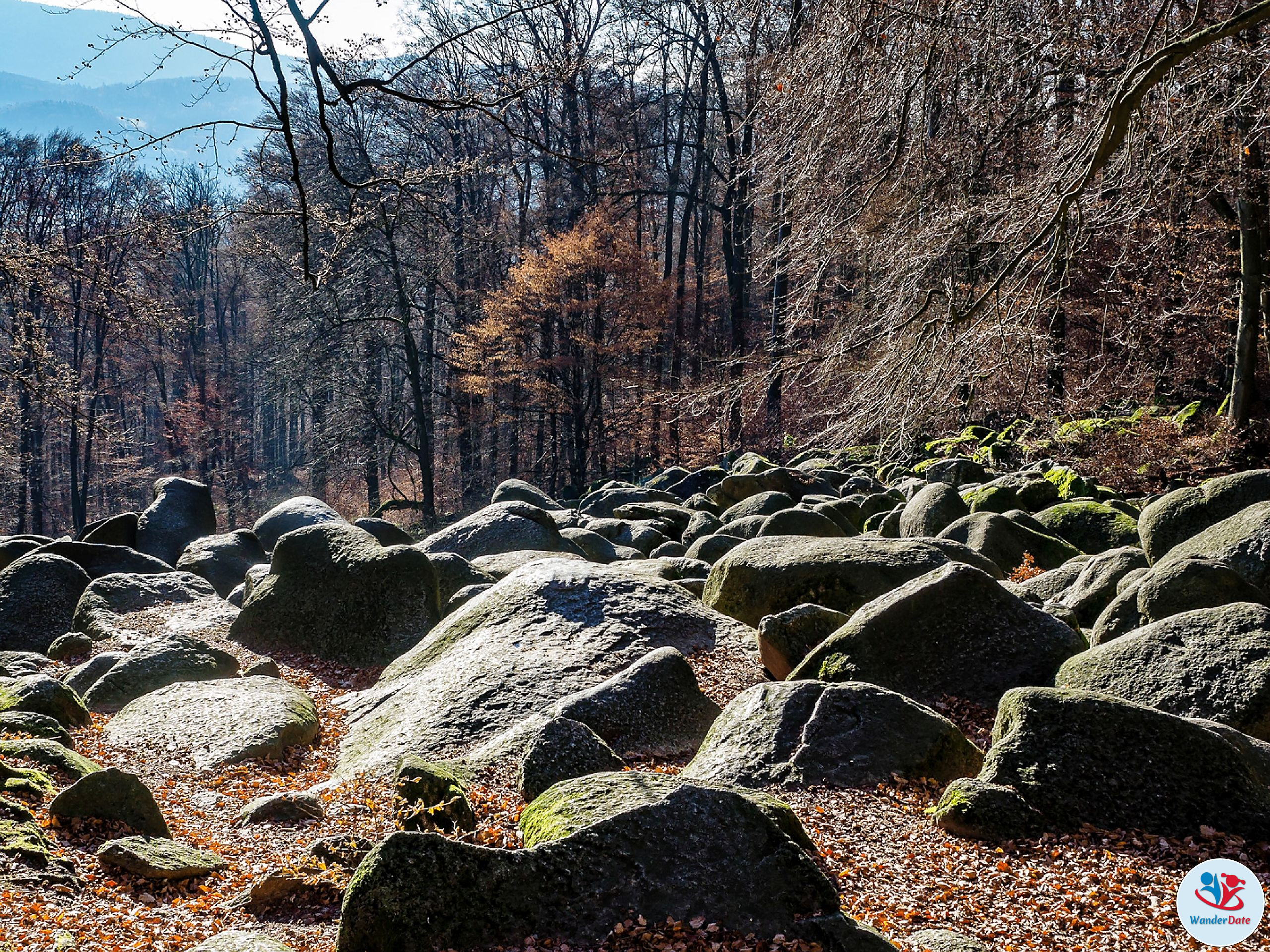 20161204 49onTop Felsenmeer