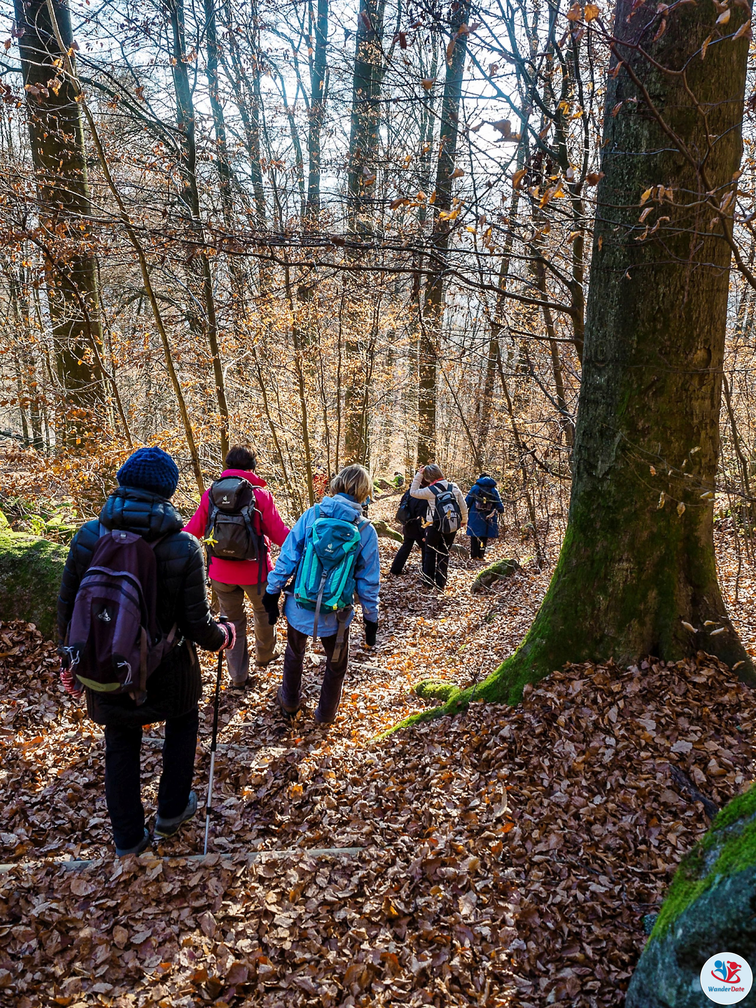 20161204 49onTop Felsenmeer