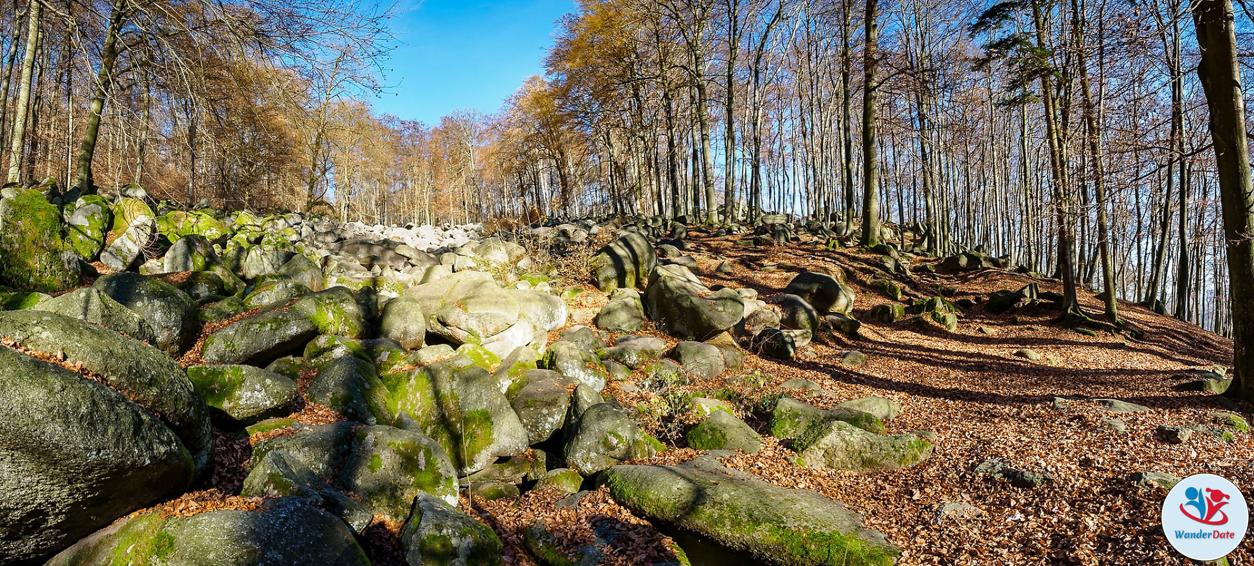 20161204 49onTop Felsenmeer