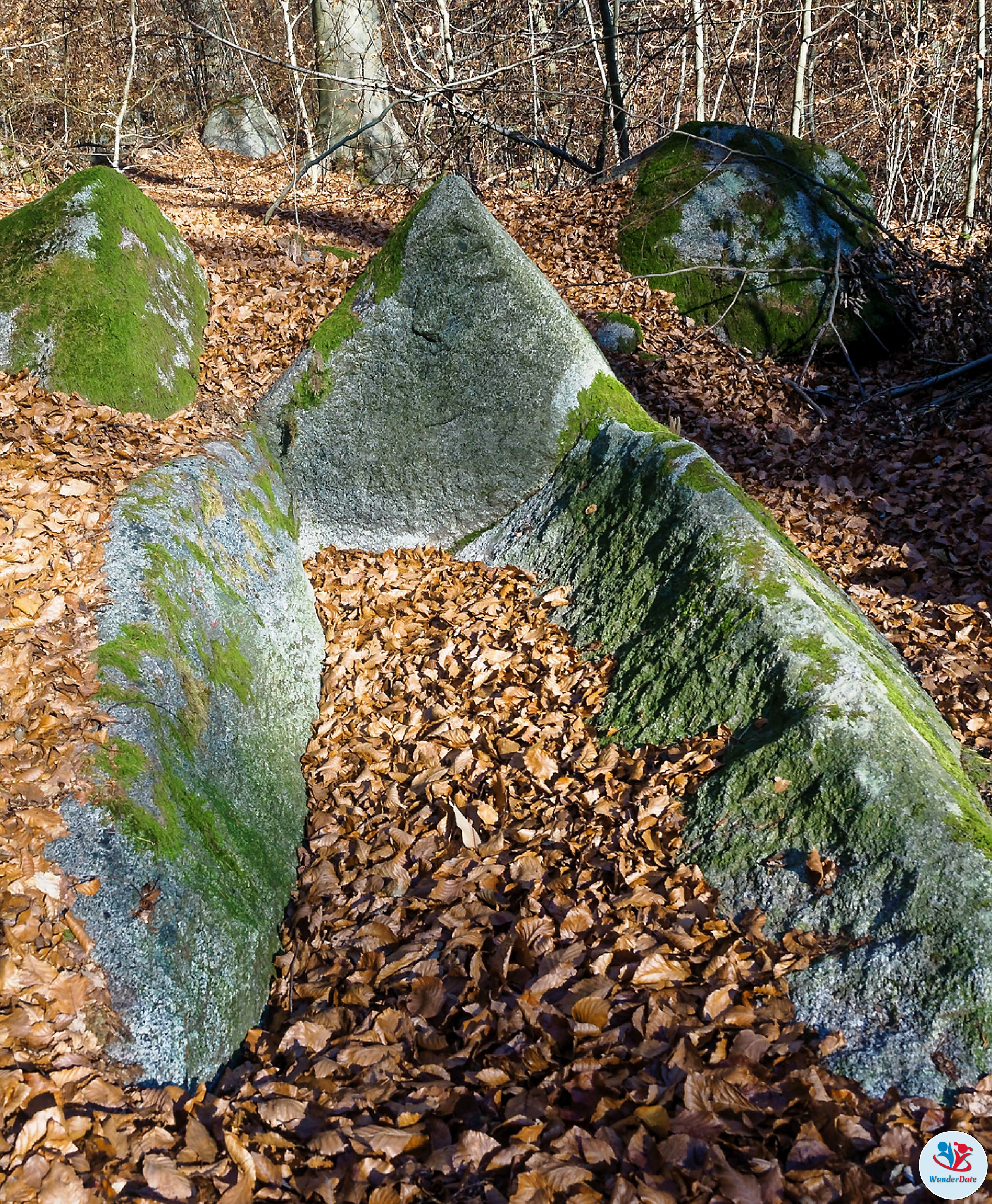 20161204 49onTop Felsenmeer