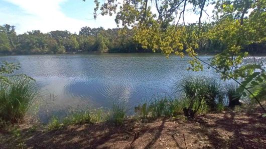 Fermasee  