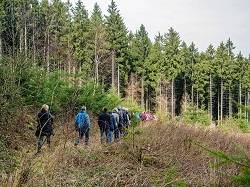 Im Schwarzwald  