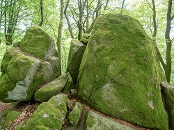 Wildweibchenstein  