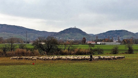 Kloster Lorsch und Freilichtlabor Lauresham  