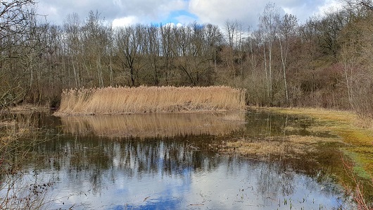 Regionalpark  