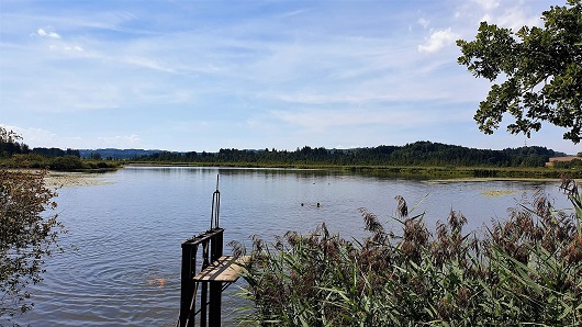 Maisinger See  