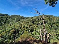 Ausblick  