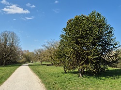 Arboretum  