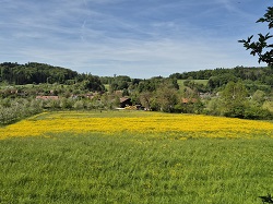 Tal der Liebe  