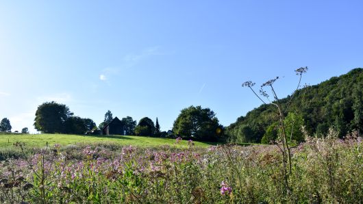 Naafbachtal  