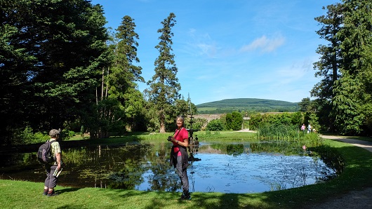 Powerscourt Garden  