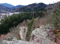 Single Wandern Schwarzwald