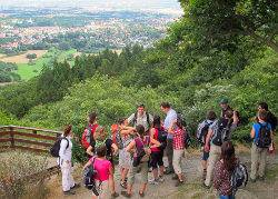 Single wandern taunus