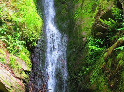 Wasserfall  