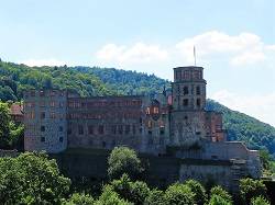 Neu in Heidelberg
