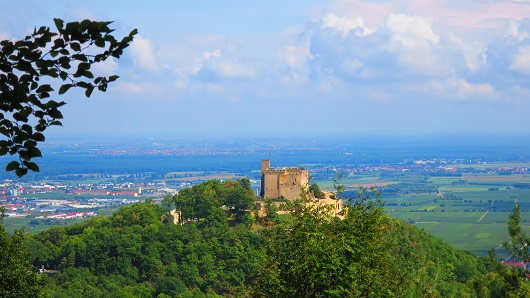 single wandern in der pfalz