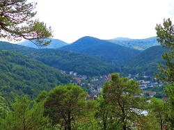 Wandern in der Pfalz  