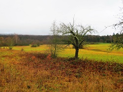 Kirdorfer Feld  