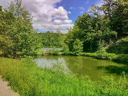 Kurzweiher  
