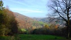 Single wandern odenwald
