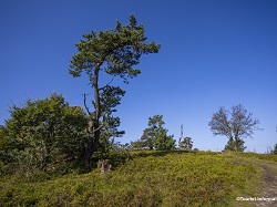 Tourist-information_willingen  