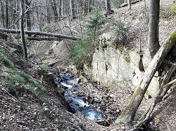 Rombacher Schlucht  