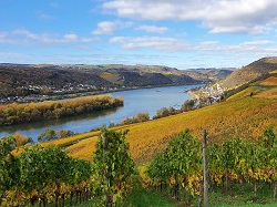 Rheinblick  