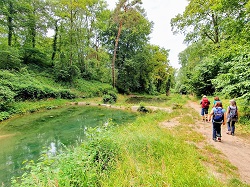 Sieben Weiher  