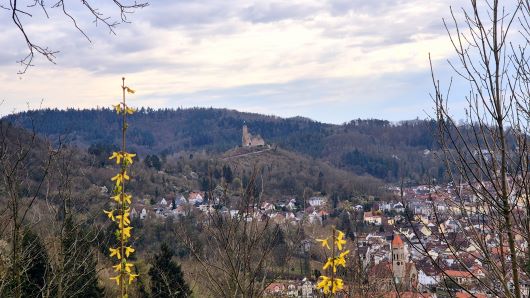 Burgenblick  