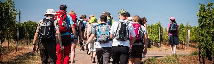 banner_wanderdate_vk_20150802_img_2789.jpg