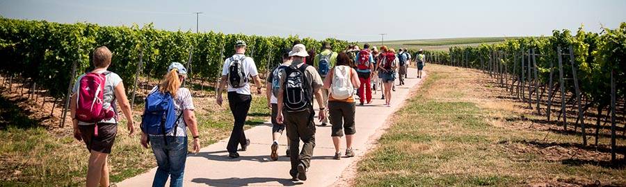 banner_wanderdate_vk_20150802_img_2826.jpg